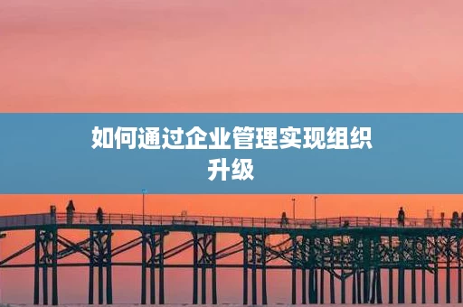 如何通过企业管理实现组织升级