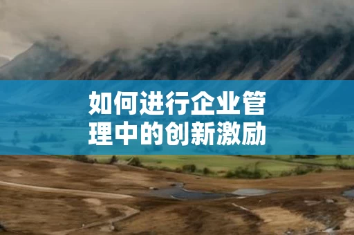 如何进行企业管理中的创新激励