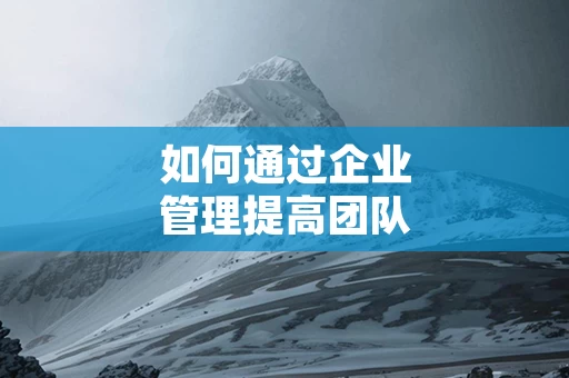 如何通过企业管理提高团队凝聚力