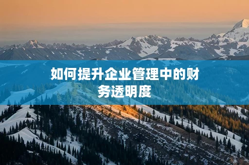 如何提升企业管理中的财务透明度