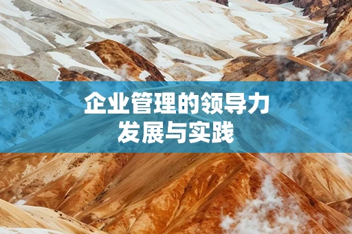 企业管理的领导力发展与实践