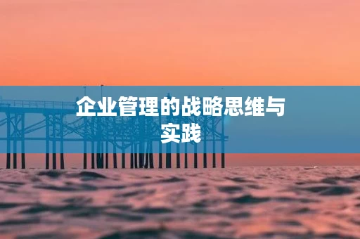 企业管理的战略思维与实践