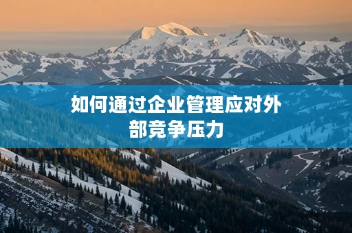 如何通过企业管理应对外部竞争压力
