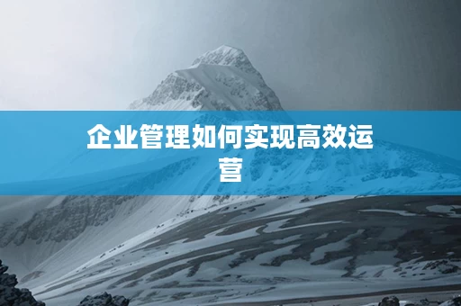企业管理如何实现高效运营