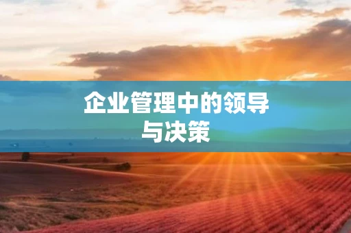 企业管理中的领导与决策