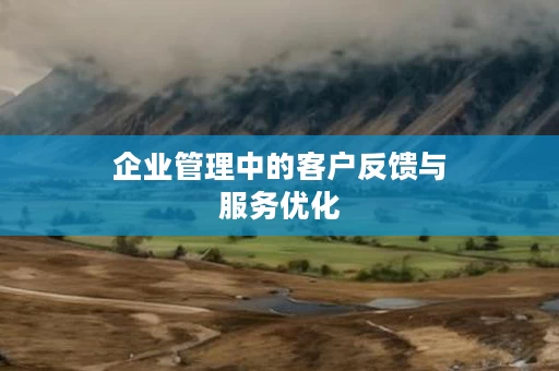 企业管理中的客户反馈与服务优化