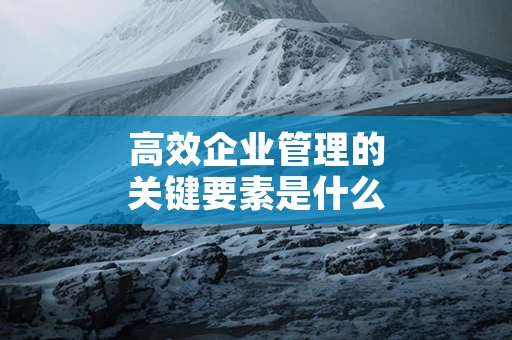 高效企业管理的关键要素是什么