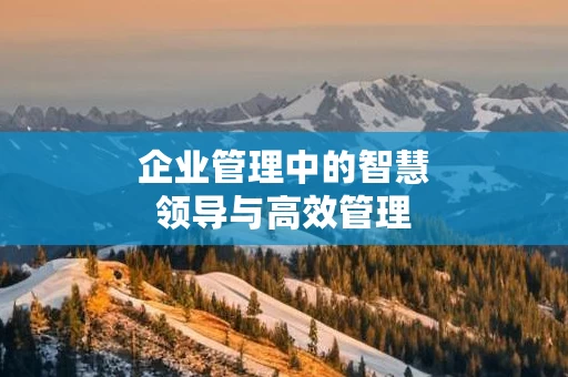 企业管理中的智慧领导与高效管理