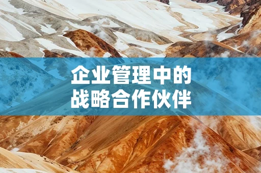 企业管理中的战略合作伙伴关系建设