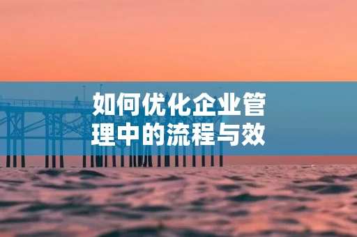 如何优化企业管理中的流程与效率