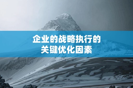 企业的战略执行的关键优化因素