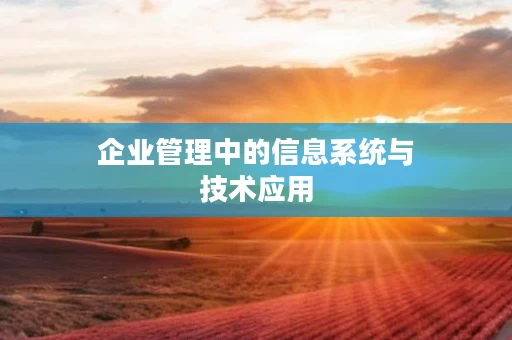 企业管理中的信息系统与技术应用
