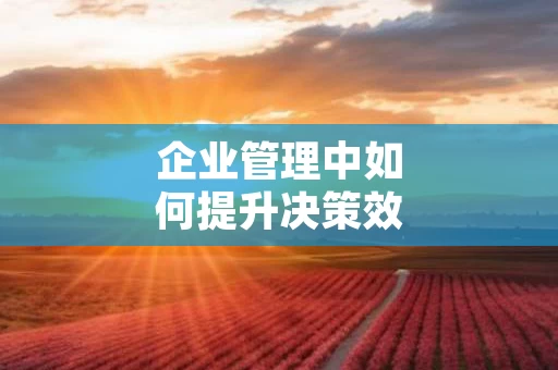 企业管理中如何提升决策效率
