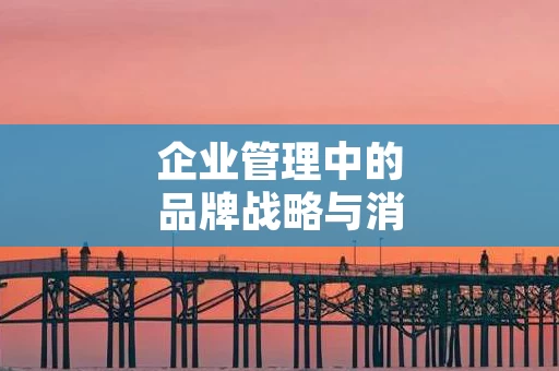 企业管理中的品牌战略与消费者忠诚