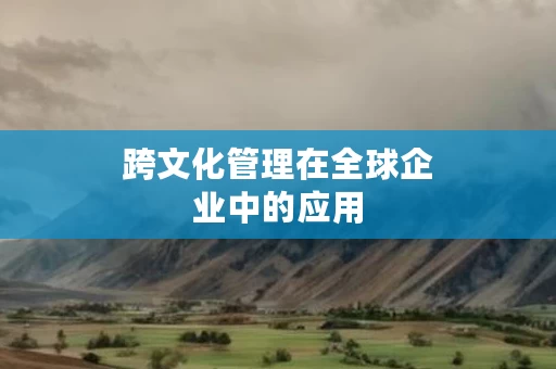 跨文化管理在全球企业中的应用