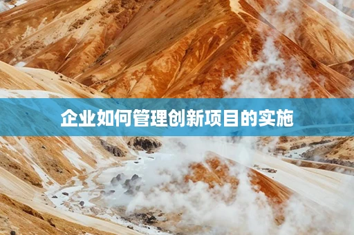 企业如何管理创新项目的实施