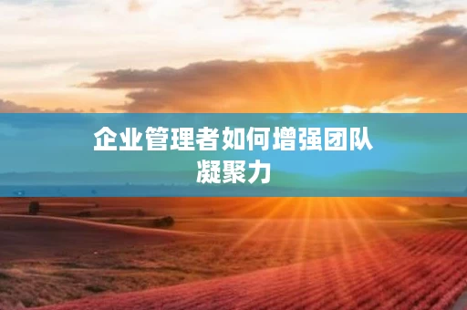 企业管理者如何增强团队凝聚力