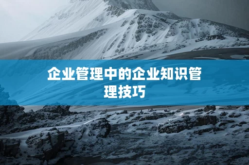 企业管理中的企业知识管理技巧