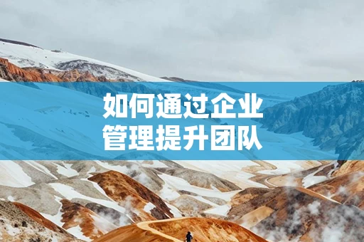 如何通过企业管理提升团队效率