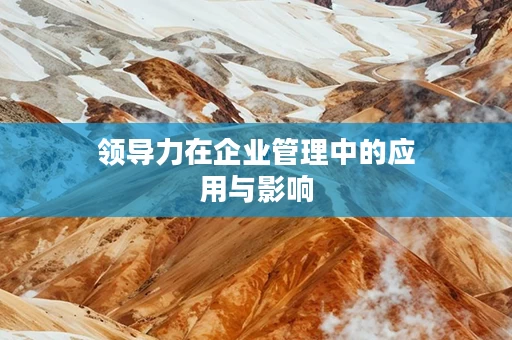 领导力在企业管理中的应用与影响