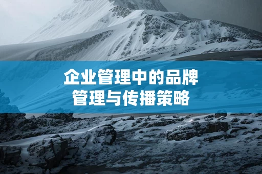 企业管理中的品牌管理与传播策略
