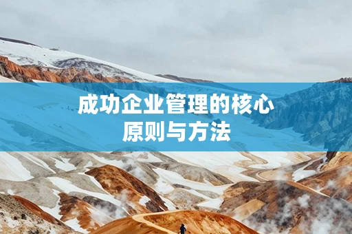 成功企业管理的核心原则与方法