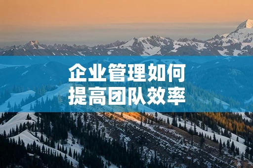 企业管理如何提高团队效率