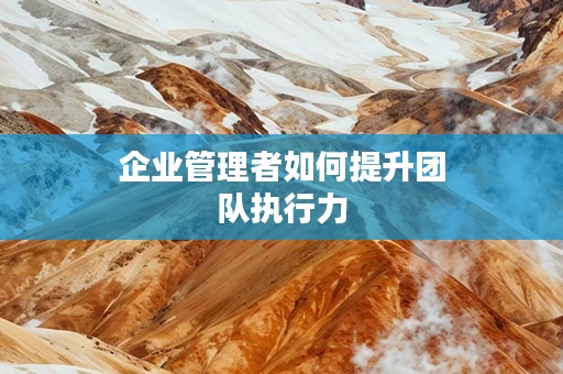 企业管理者如何提升团队执行力