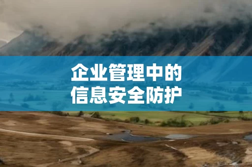 企业管理中的信息安全防护