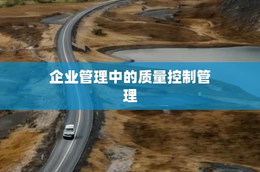 企业管理中的质量控制管理