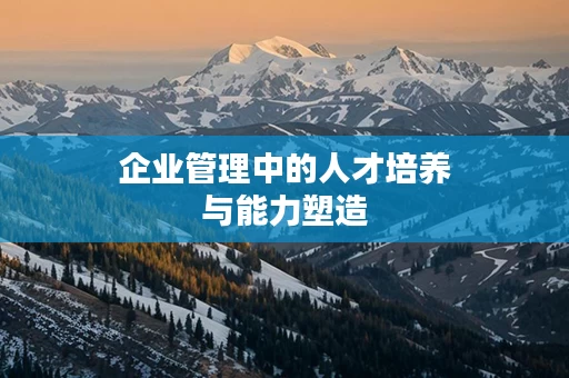 企业管理中的人才培养与能力塑造