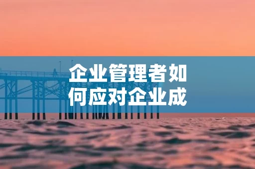 企业管理者如何应对企业成长中的挑战