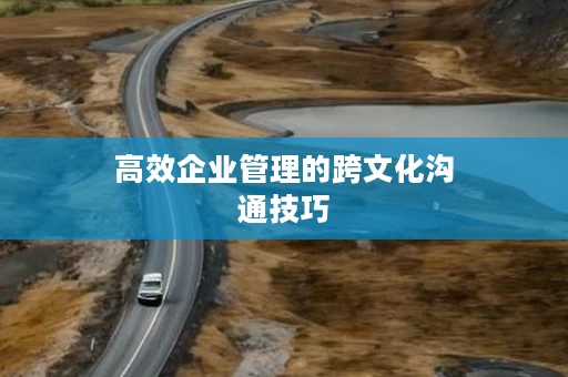 高效企业管理的跨文化沟通技巧