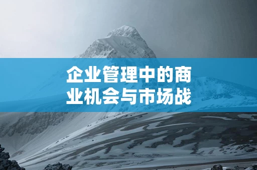 企业管理中的商业机会与市场战略