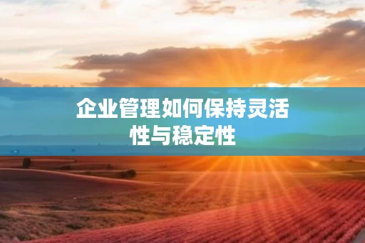 企业管理如何保持灵活性与稳定性