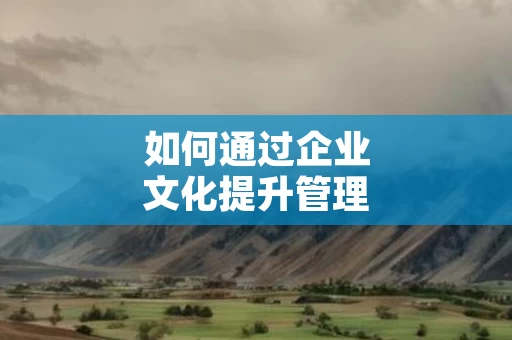 如何通过企业文化提升管理效率
