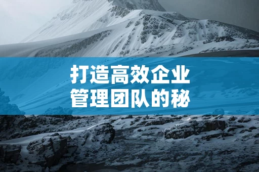 打造高效企业管理团队的秘诀
