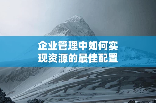 企业管理中如何实现资源的最佳配置