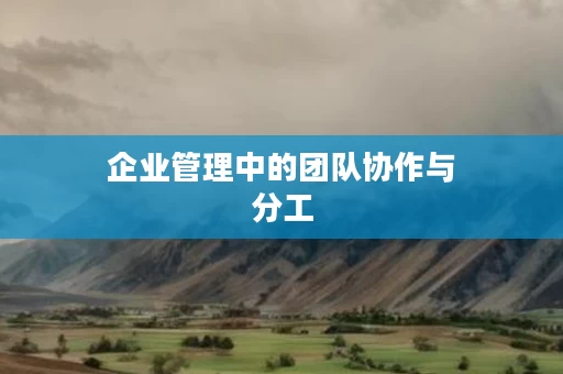 企业管理中的团队协作与分工