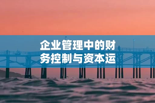 企业管理中的财务控制与资本运作