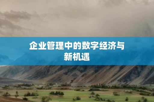 企业管理中的数字经济与新机遇