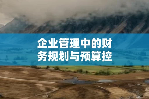 企业管理中的财务规划与预算控制