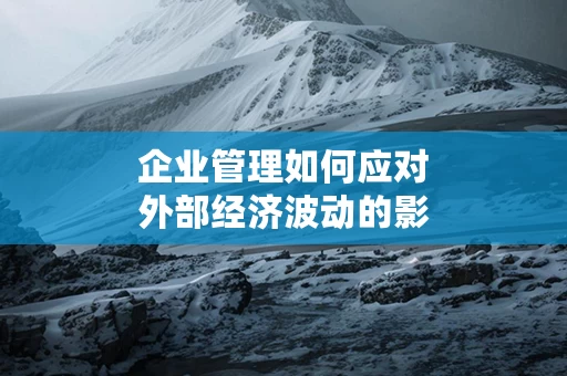 企业管理如何应对外部经济波动的影响