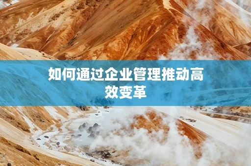 如何通过企业管理推动高效变革