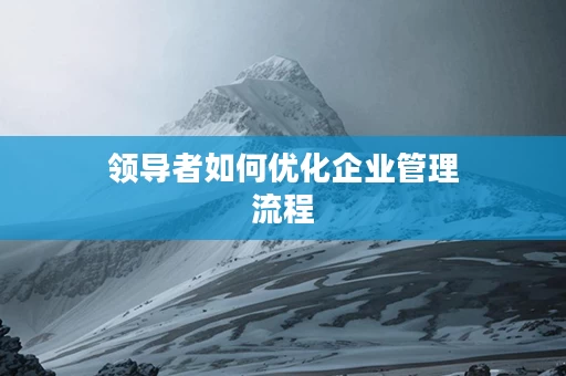 领导者如何优化企业管理流程