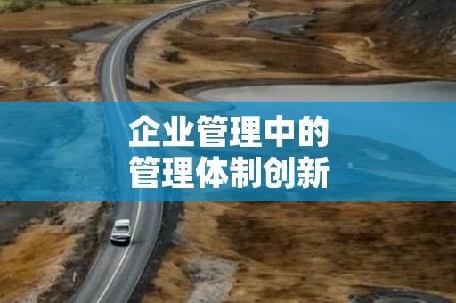 企业管理中的管理体制创新
