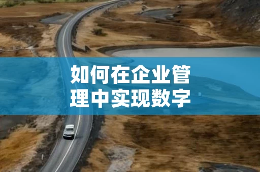 如何在企业管理中实现数字化运营