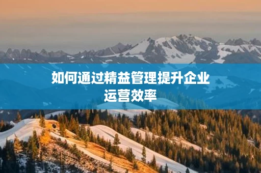 如何通过精益管理提升企业运营效率