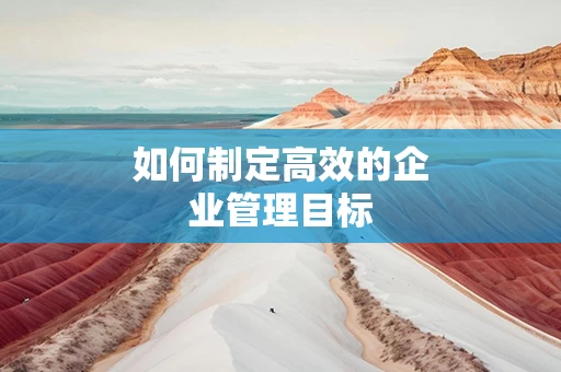 如何制定高效的企业管理目标