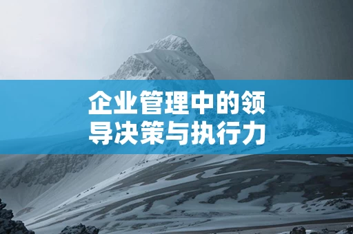 企业管理中的领导决策与执行力